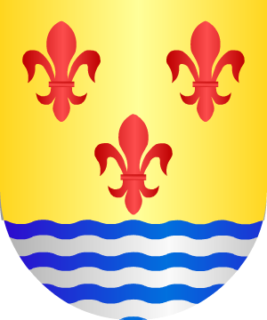 ESCUDO SIGUIENTE